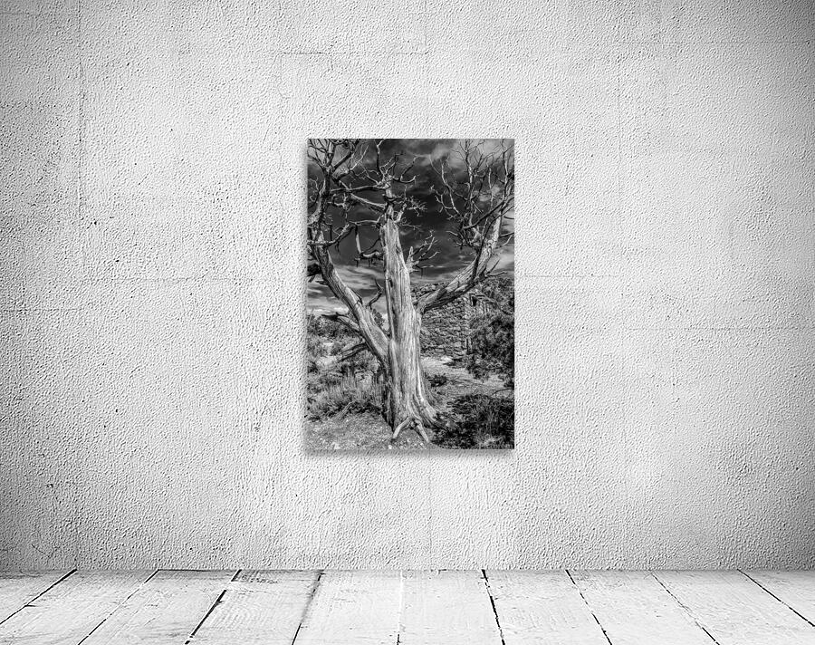 Still Standing Wall Preview