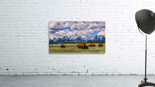 Teton Buffalo Wall Preview