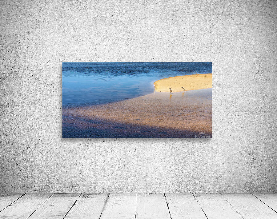 Sanibel Wall Preview