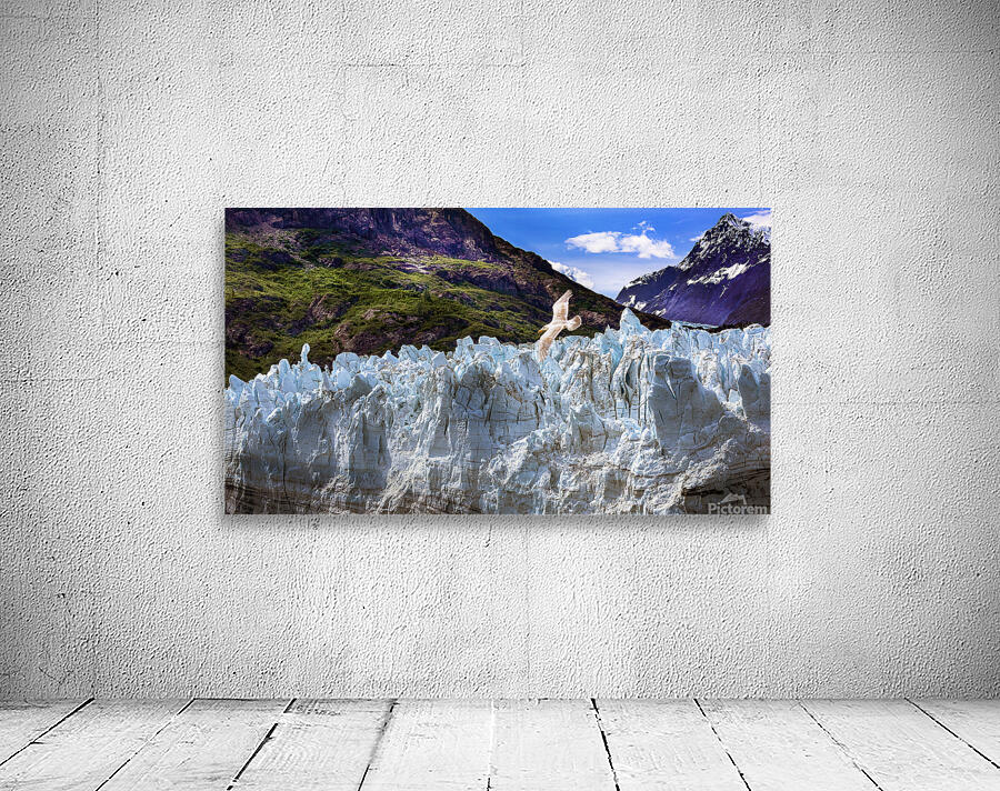 Glacier Bay Wall Preview