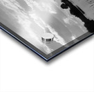 LS040 Acrylic print