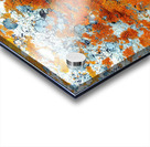 RA006 Acrylic print