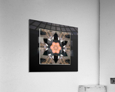 AB009 Acrylic Print
