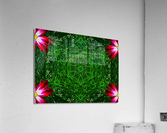 AB016 Acrylic Print