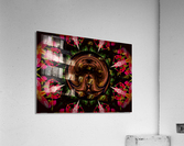 AB005 Acrylic Print
