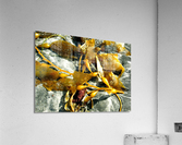 AB027 Acrylic Print