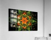 AB042 Acrylic Print