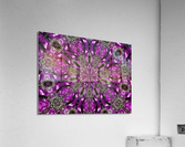 AB055 Acrylic Print