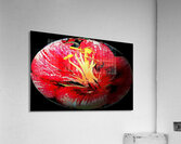 AB082 Acrylic Print