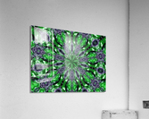 AB054 Acrylic Print
