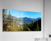 LS050 Acrylic Print