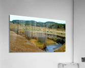 LS034 Acrylic Print