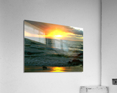 LS012 Acrylic Print