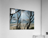 LS047 Acrylic Print