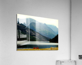 LS009 Acrylic Print
