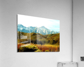 LS025 Acrylic Print