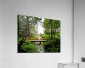 LS045 Acrylic Print