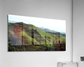 LS039 Acrylic Print