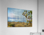 LS002 Acrylic Print