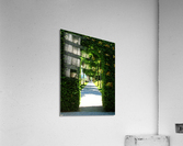 LS042 Acrylic Print