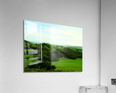 LS038 Acrylic Print