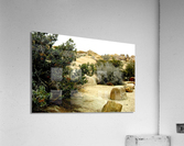 LS005 Acrylic Print