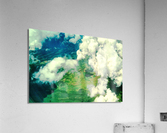 LS044 Acrylic Print