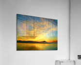 LS016 Acrylic Print