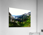 LS019 Acrylic Print