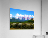 LS015 Acrylic Print