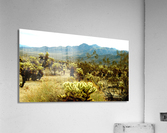 LS018 Acrylic Print