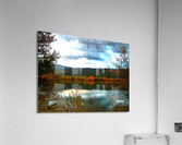 LS031 Acrylic Print
