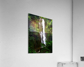 LS014 Acrylic Print