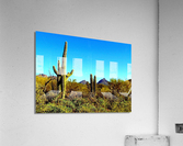 LS004 Acrylic Print