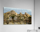 LS048 Acrylic Print