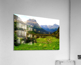 LS021 Acrylic Print