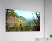 LS027 Acrylic Print