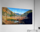 LS052 Acrylic Print