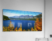 LS051 Acrylic Print