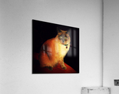 LS058 Acrylic Print