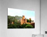 LS061 Acrylic Print