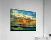 OS002 Acrylic Print
