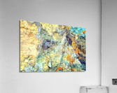 RA022 Acrylic Print