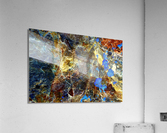 RA023 Acrylic Print