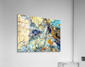 RA003 Acrylic Print