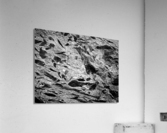 RA015 Acrylic Print