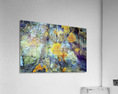 RA031 Acrylic Print