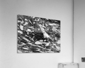 RA016 Acrylic Print