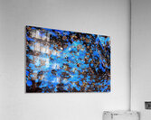 RA010 Acrylic Print