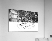 RA004 Acrylic Print